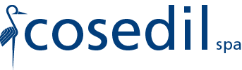 logo cosedil
